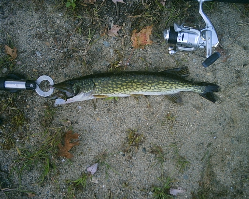 9/28/07 - Lake Cochtituate